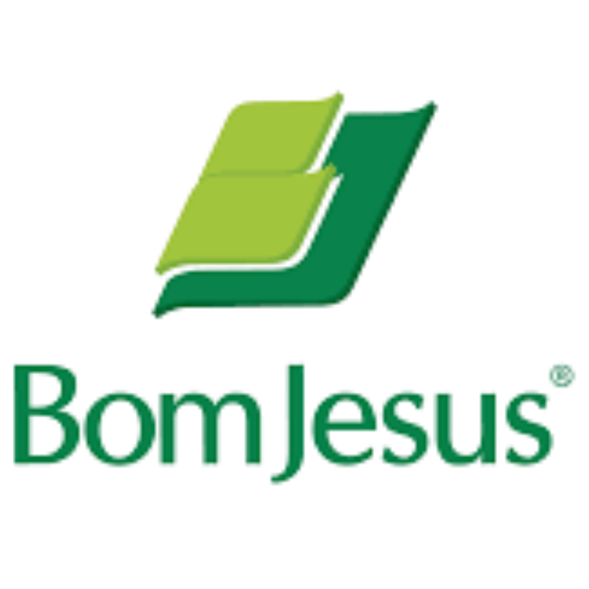 Bom Jesus